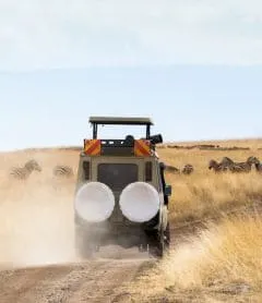 Safari Packages